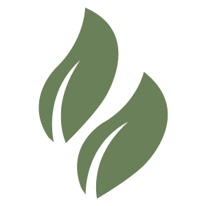 Registrate en
el club